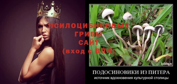 мдма Няндома