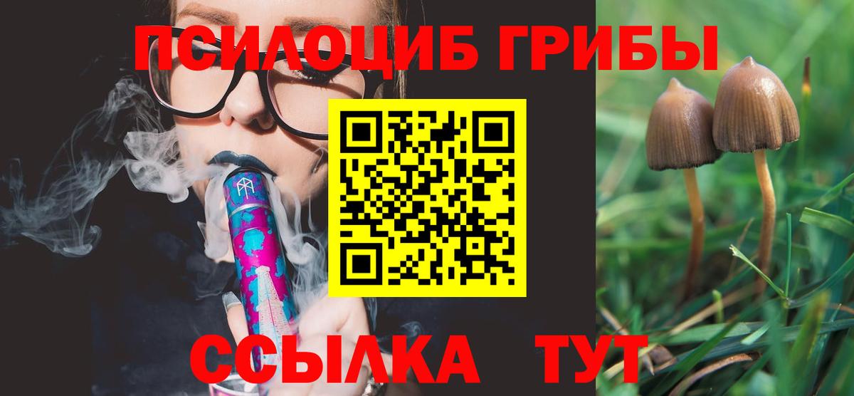 Псилоцибиновые грибы Psilocybine cubensis  Вход с VPN  Котовск  Псилоцибиновые грибы MAGIC MUSHROOMS 